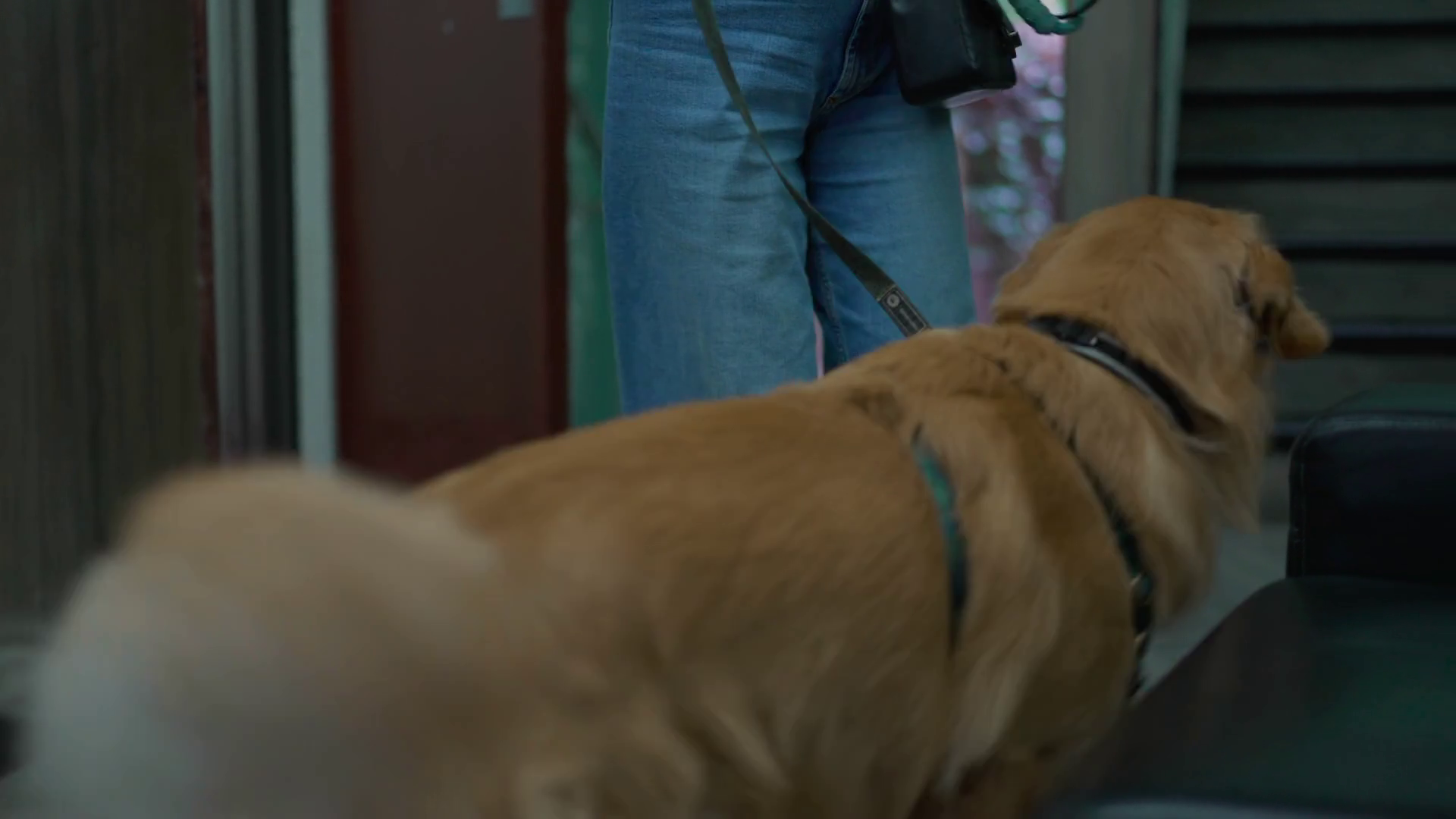Woman Stepping Out Of Elevator Going Out Stock Footage SBV348493463 Storyblocks
