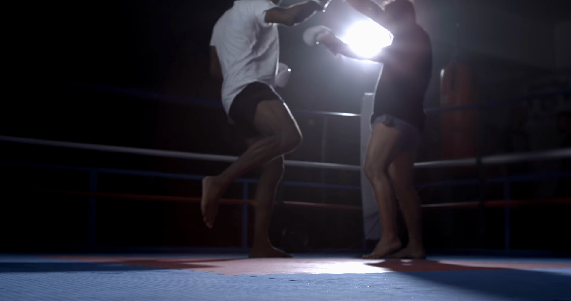 Young Men Fighting Inside Boxing Ring Stock Footage SBV-348606435 ...