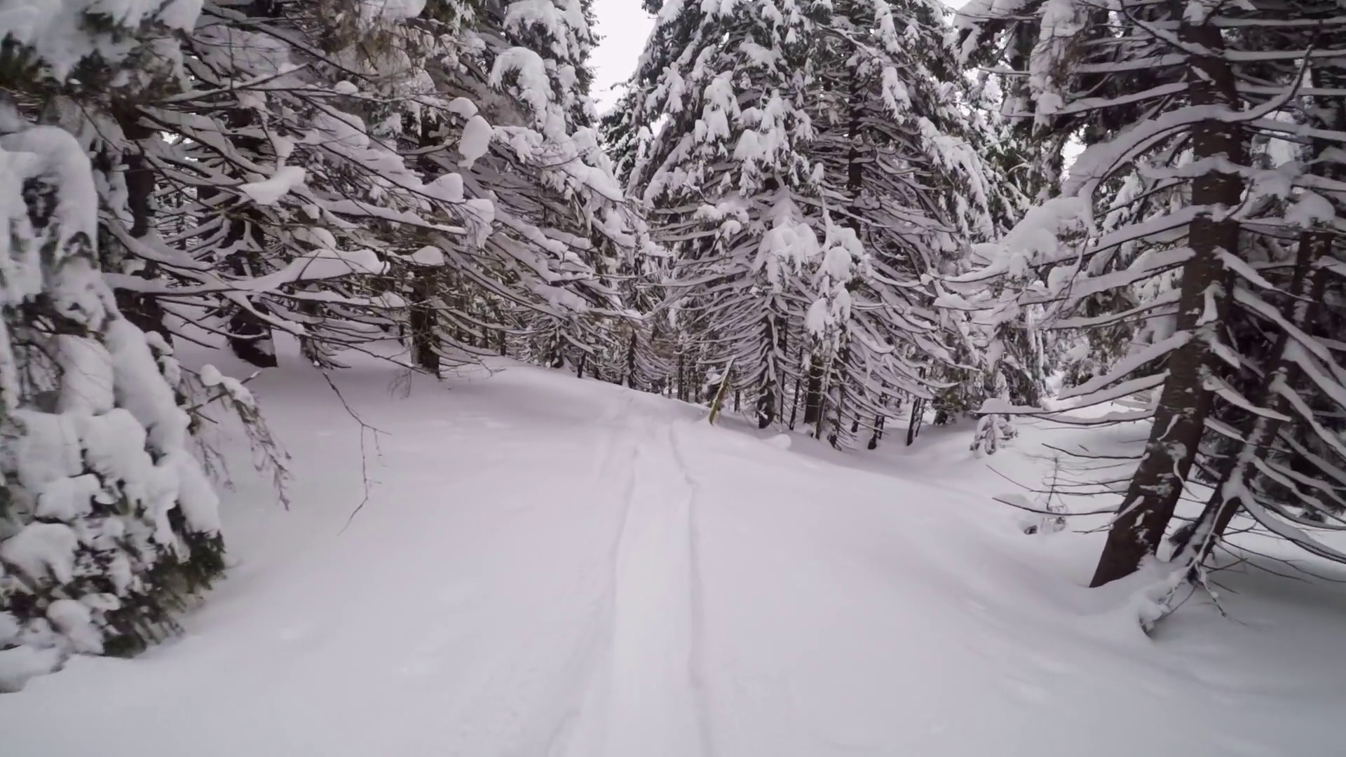First Person View Of Snowboarder Riding In Stock Footage SBV-347453272 ...