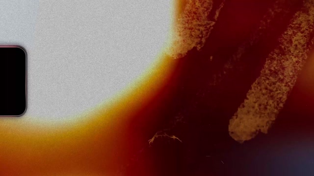 Flashback Stock Footage: Royalty-Free Video Clips - Storyblocks