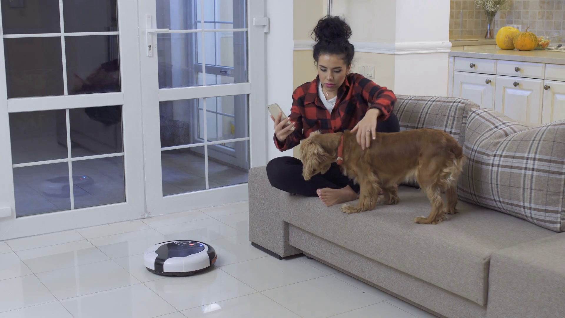 The Dog Scared Of Vacuumcleaning Robot Stock Footage SBV319995108