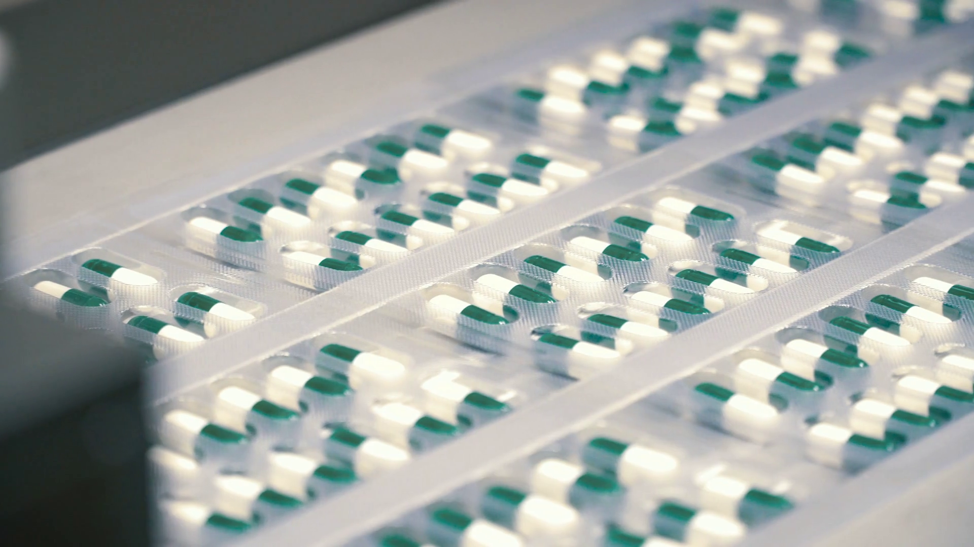 Worker sort capsules into packages Stock Video Footage 0007 SBV