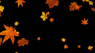 Autumn leaf falling overlays with alpha Also good background for overlay on your scene and titles, logos