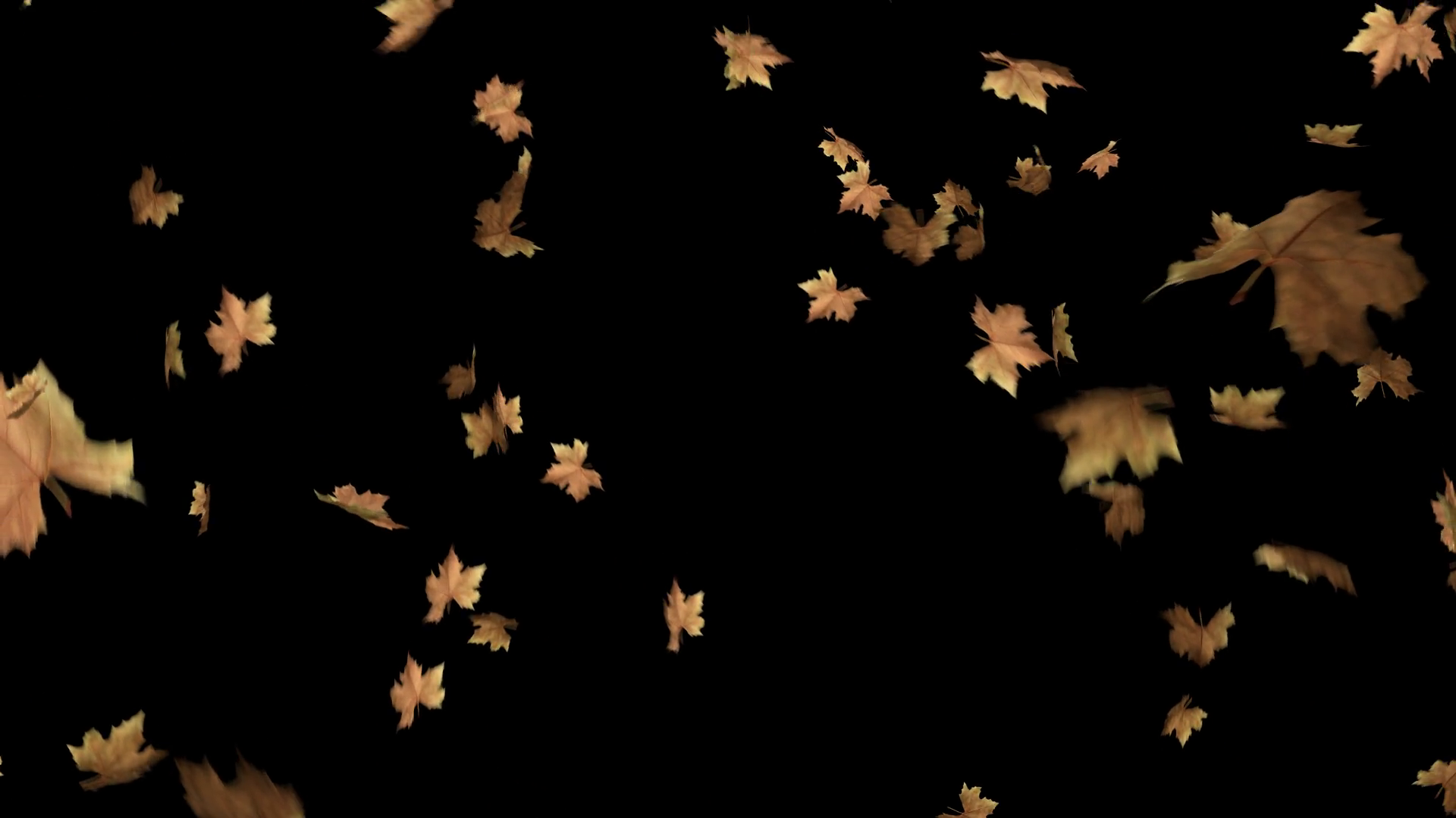 Leaves Fallingis Autumn Leaves Falling With Stock Motion Graphics SBV ...