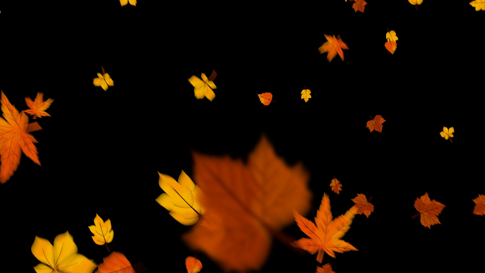 Autumn Leaf Falling Autumn Leaf Falling With Stock Motion Graphics Sbv