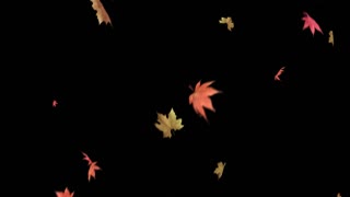 Autumn Leaves Falling is an autumn leaves falling with alpha for overlays on your video or image.