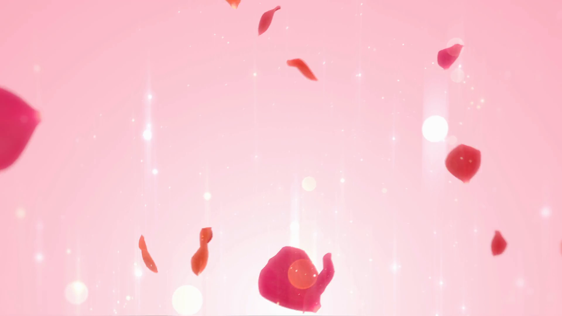 Petals Rose Background Petals Rose Stock Motion Graphics Sbv 348831110