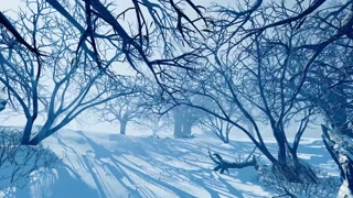 Winter Park Camera movement in the winter garden, among the trees and bushes