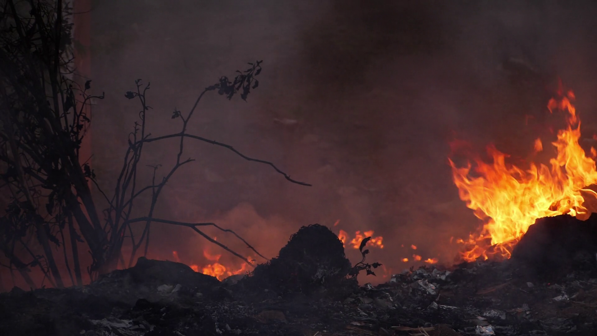 Close Up View Of Burning Plastic Waste Stock Footage SBV346455710