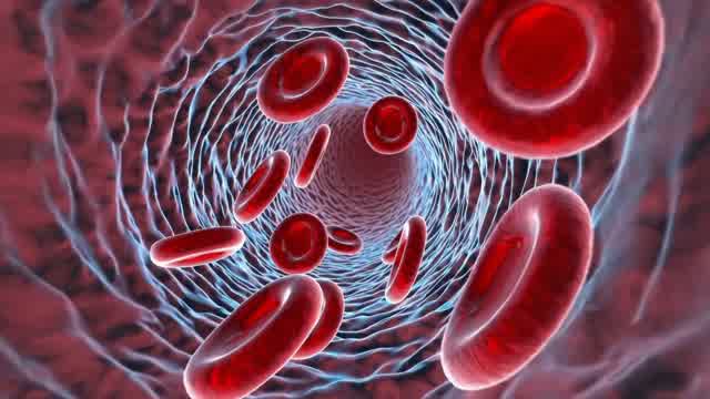 Blood Circulation Stock Footage: Royalty-Free Video Clips - Storyblocks
