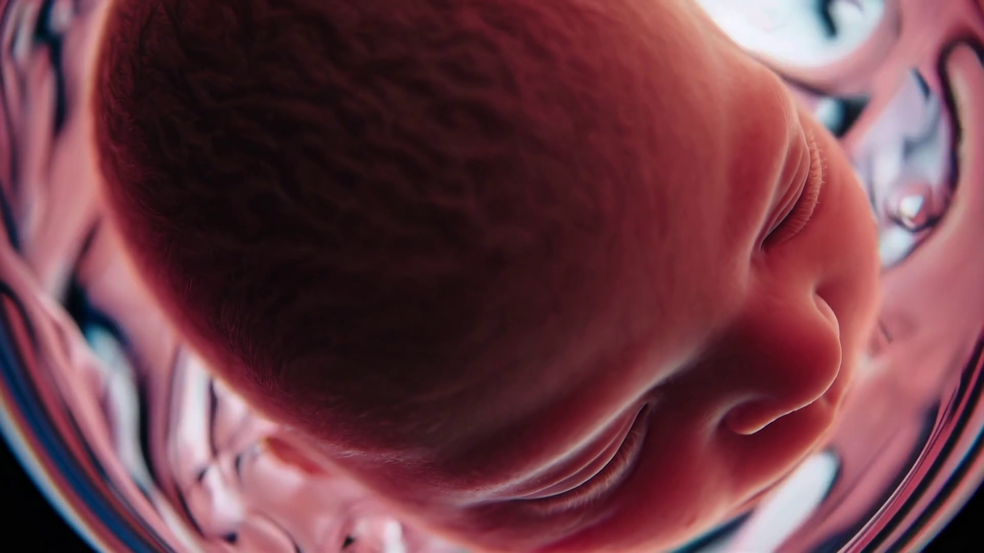 Life Birth Baby In Womb Animation With Stock Footage SBV-351984828 ...