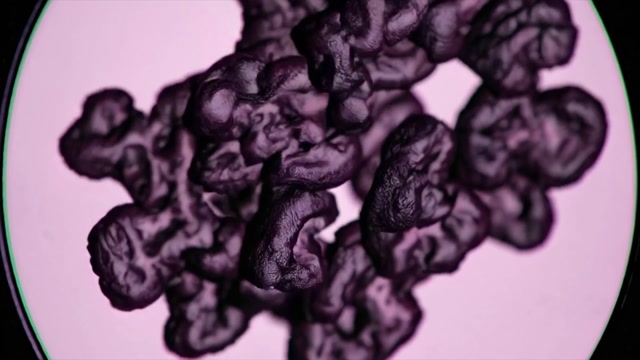 Cancer Cells Animation Stock Footage: Royalty-Free Video Clips ...