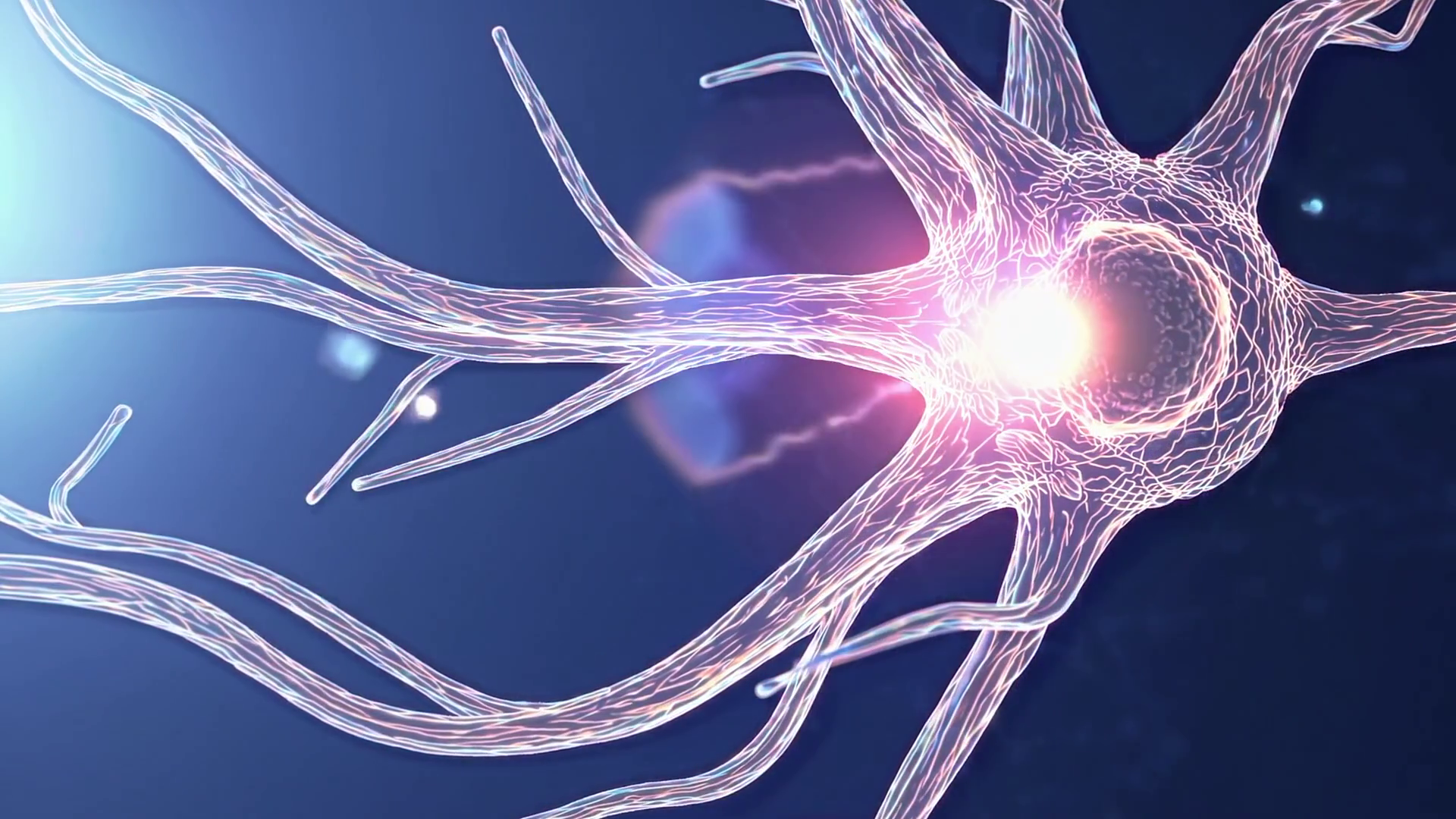 Nerve Synapse Animation Neuron Synapse Stock Video Footage For Free