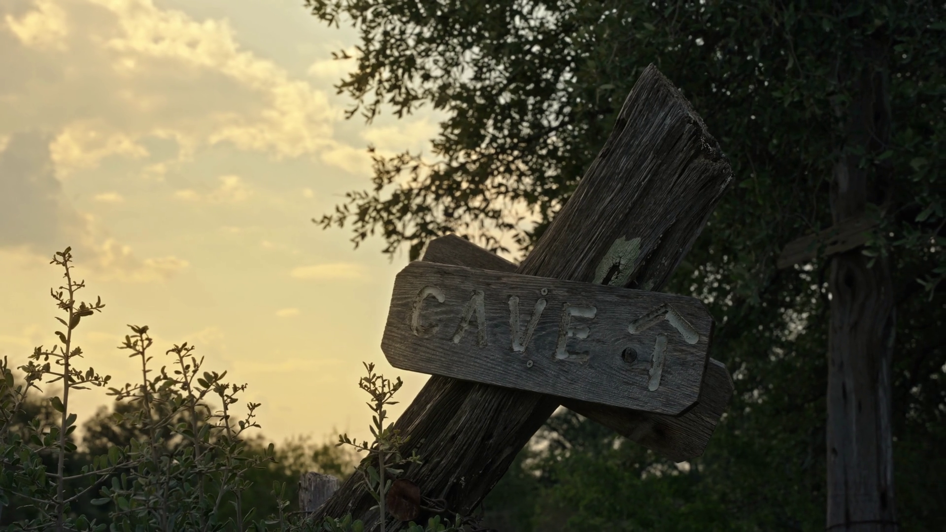 Cave Sign With Arrow In Wilderness At Sunset Stock Footage SBV ...