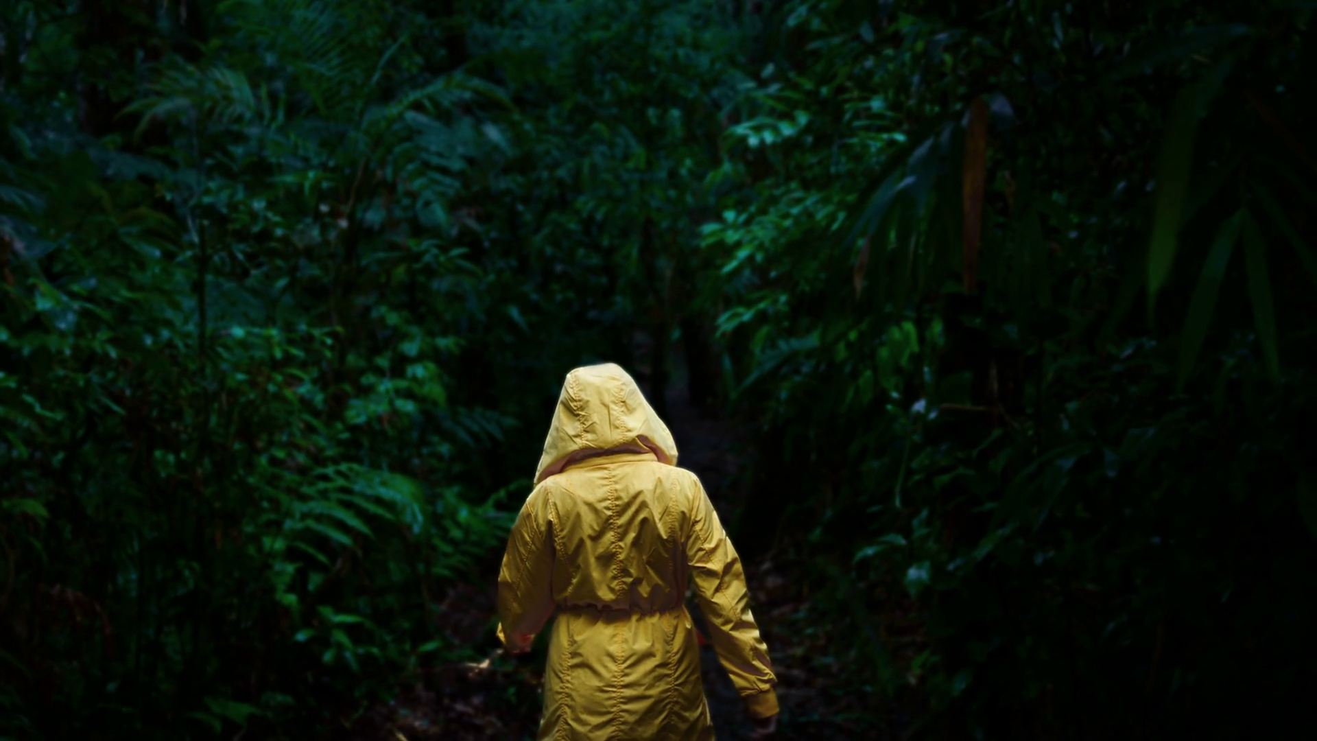 Person In Yellow Raincoat Walking Through Stock Footage SBV-352795462 ...