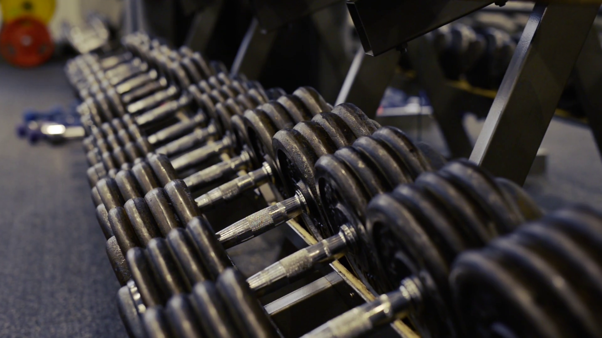 Rows of metal heavy hand barbells on rack in modern gym. Stock Video