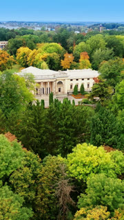 Autumn trees in the thick wooded park. White palace with columns locating in the greenery. Aerial view. Vertical video