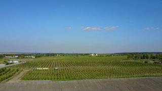 Aerial View Of Beautiful Garden