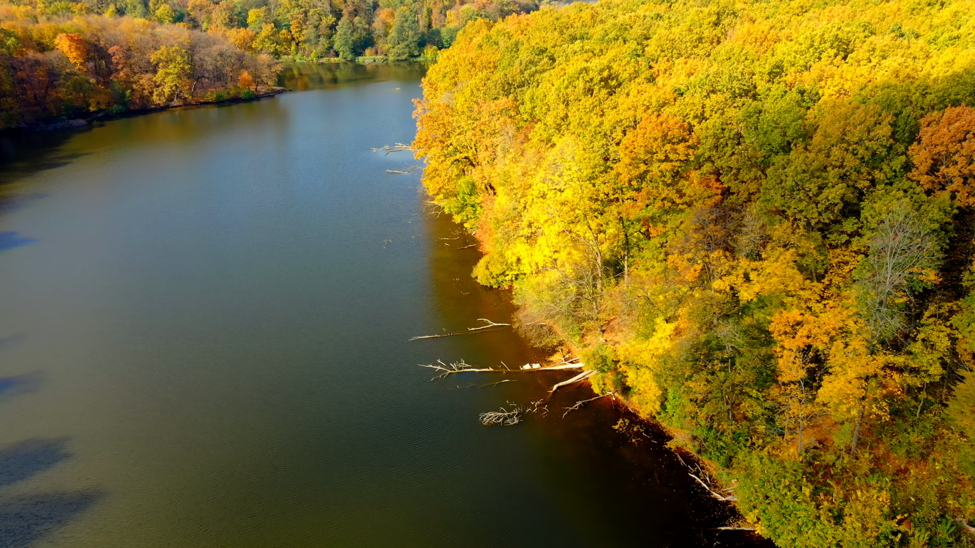 Autumn Forest Changing Colors Variety Of Stock Footage SBV-353557433 ...