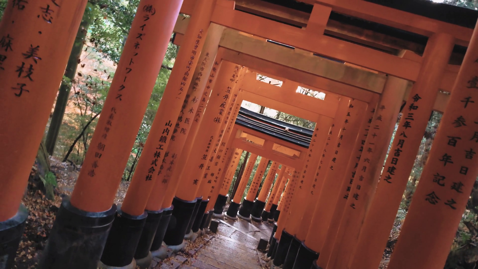 Walking Spinning Through Torii Gates Of Stock Footage SBV-352384162 ...