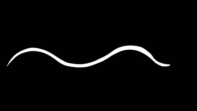 Motion Graphics Stock Footage: Royalty-Free Video Clips - Storyblocks