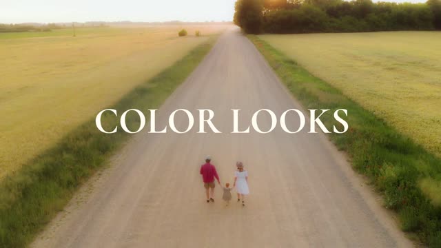 Grading Templates Royalty Free Storyblocks