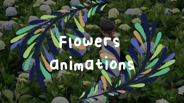 Flower Animation Templates Royalty-Free - Storyblocks