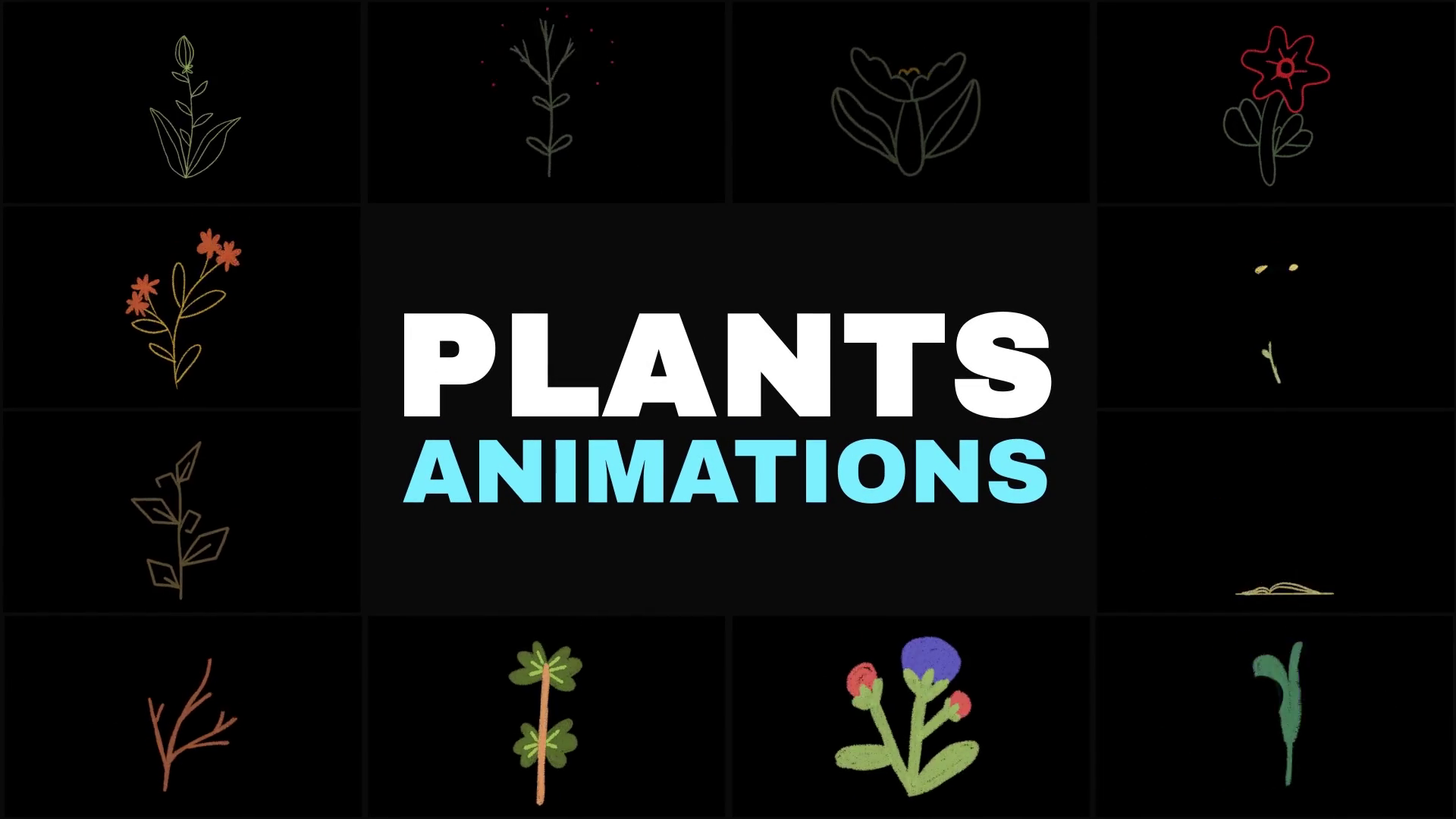 Nature Plants Kids Drawings Animation | DaVinci Resolve Template SBV ...