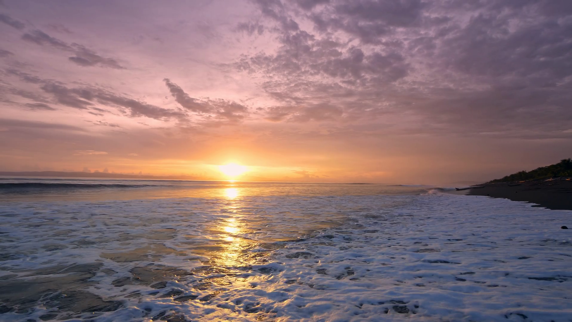 Golden Sunset Over Tranquil Ocean Waves Stock Footage SBV-348544530 ...