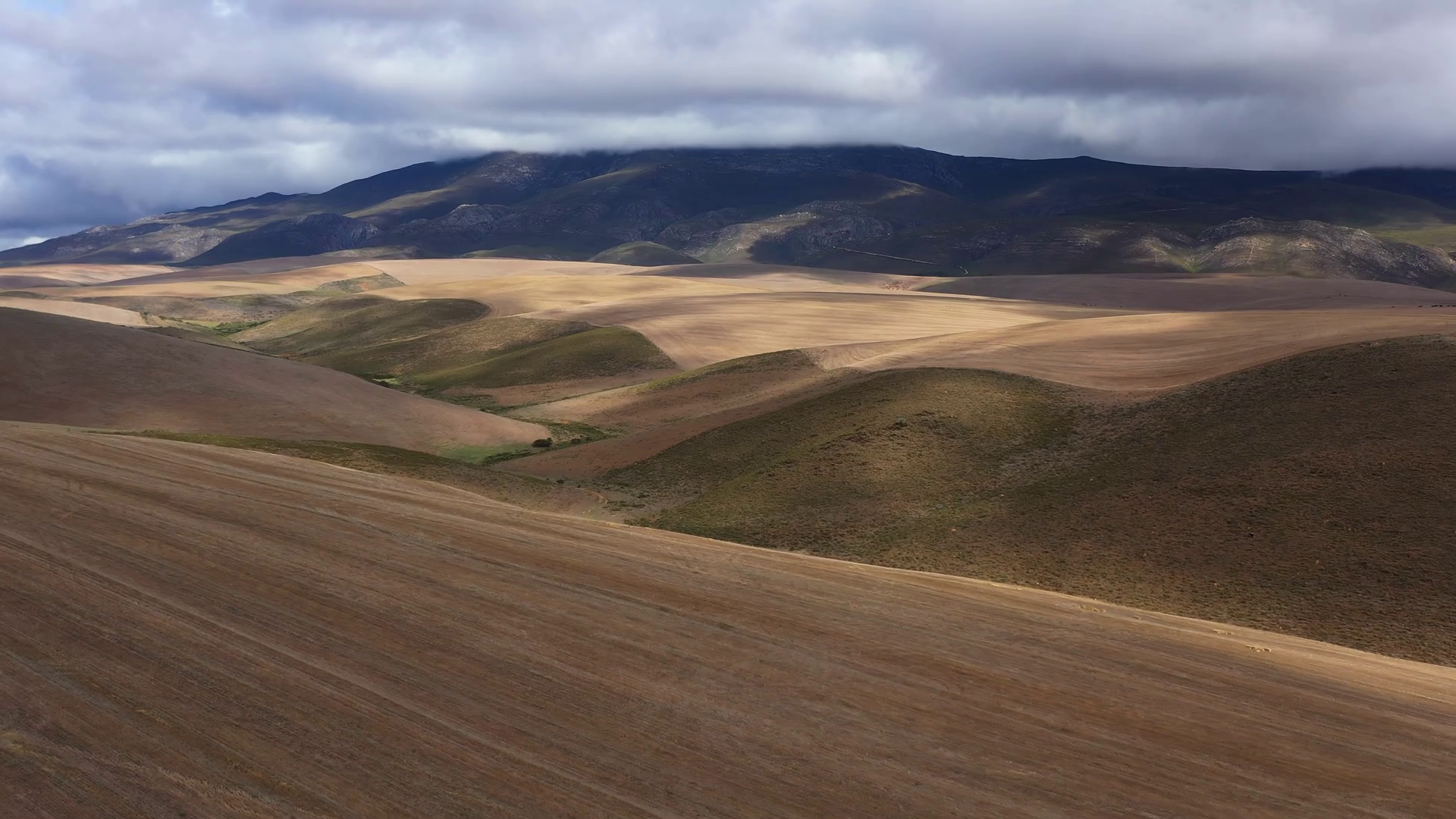 Endless Fields Landscape Aerial Shot South Stock Footage SBV-347491768 ...