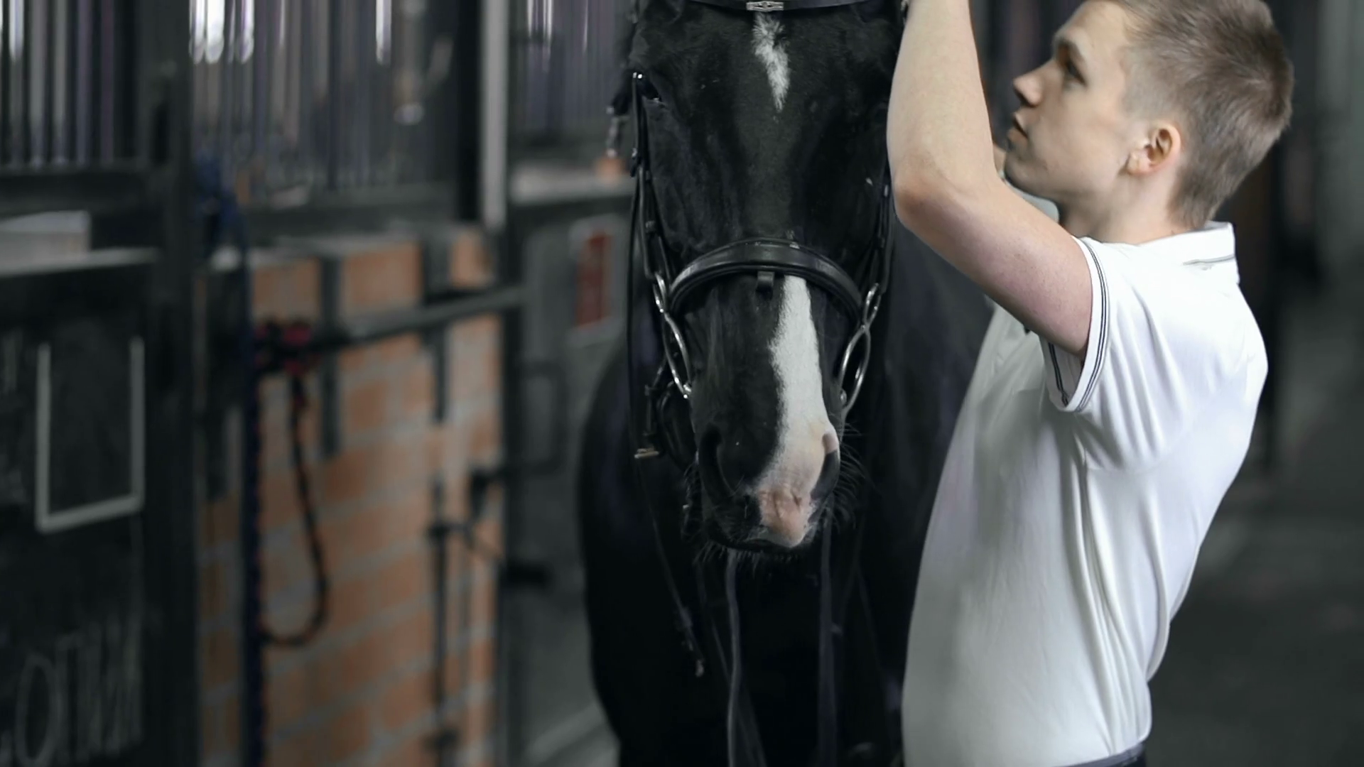 Close Up Of Horseman Taking Bridle Off Horse Stock Footage SBV