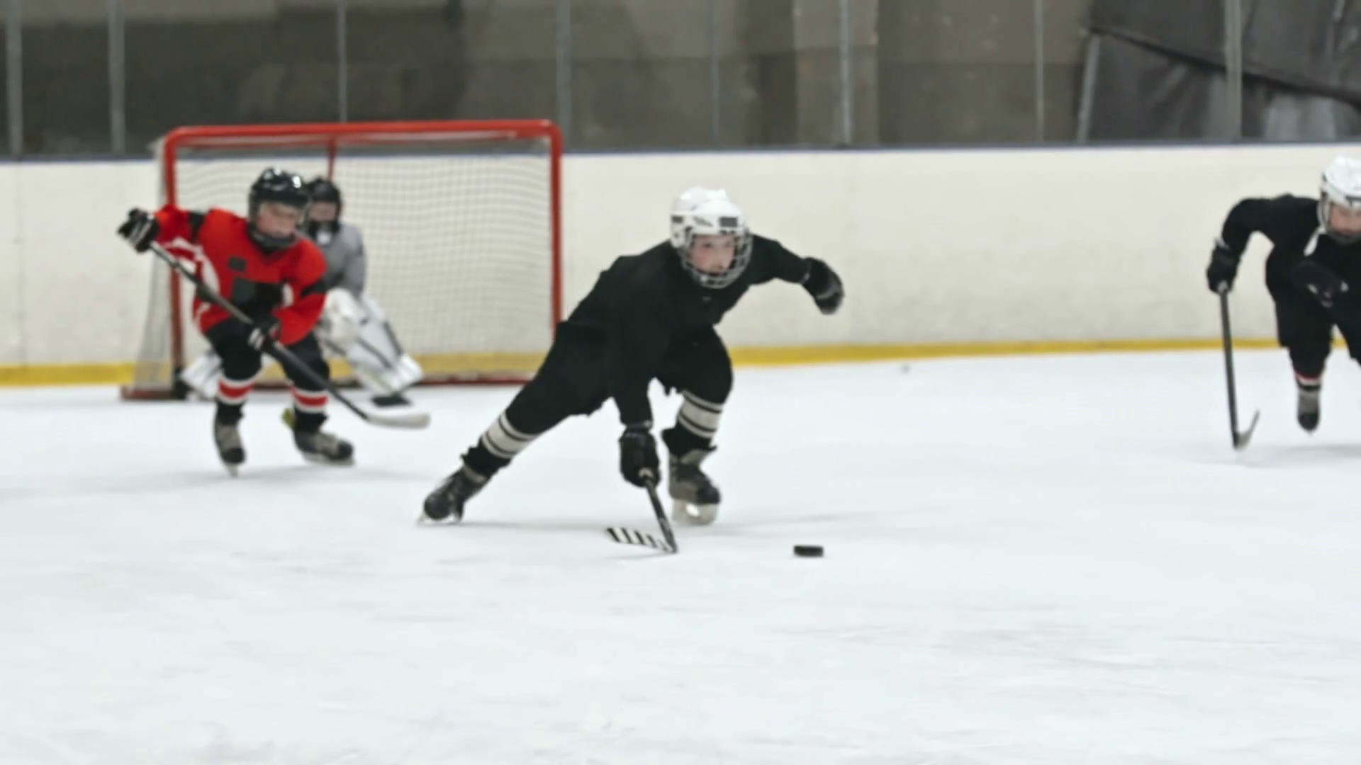 Minor League Hockey Players Speeding On Ice Stock Footage SBV309250565