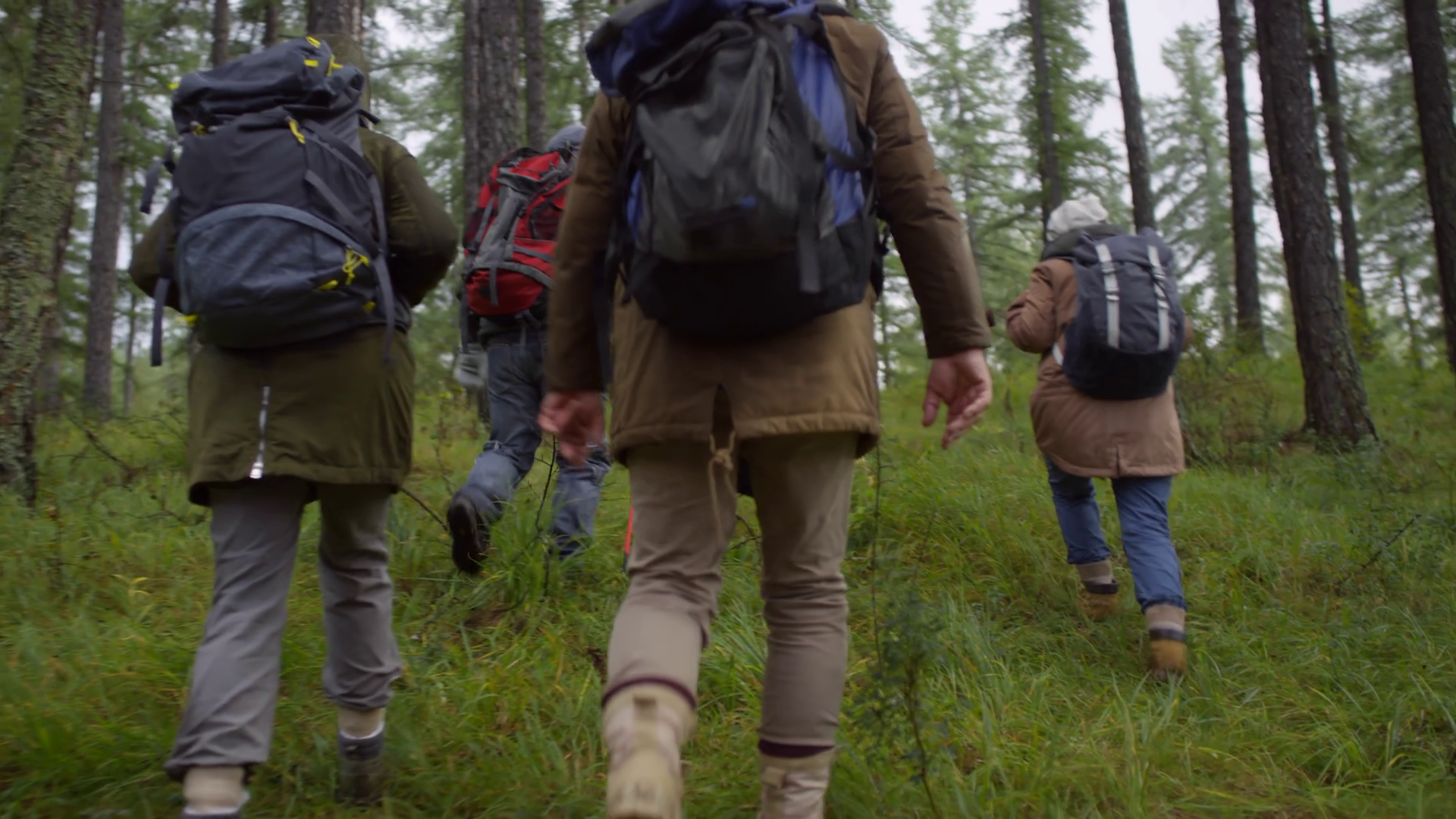 day rucksacks for walking