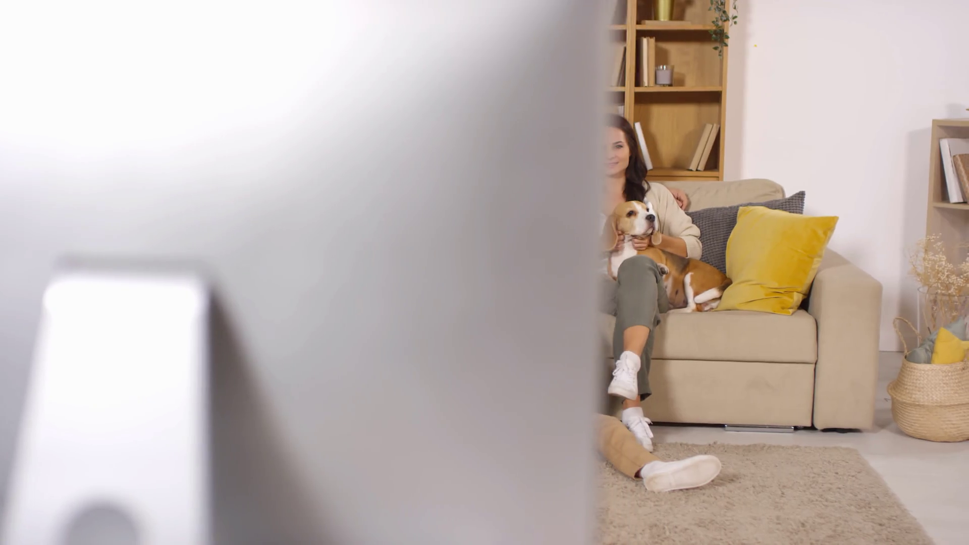 Lovely Family Watching Tv With Pets Happy Girl Sitting On The Floor In Living Room And Cuddling Cute Puppy While Her Cheerful Parents Sitting On Couch And Petting Jack Russel Terrier And