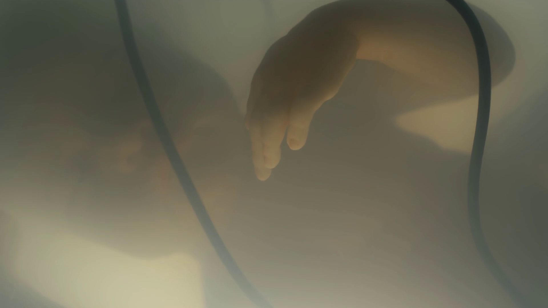 Close Up Of Silhouette Of Sleeping Lab Grown Stock Footage SBV