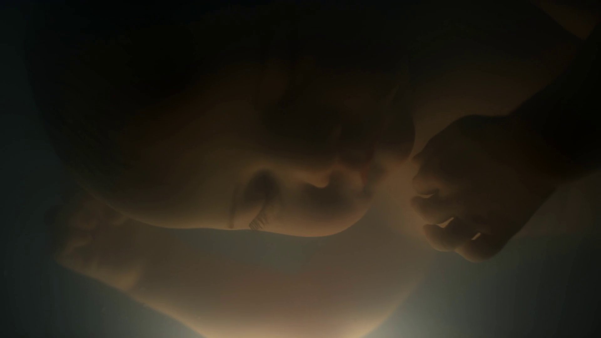 Macro Closeup Of Lab Growing Fetus Sleeping Stock Footage SBV348605945