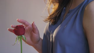 Close-up of a Woman Touching a Red Rose