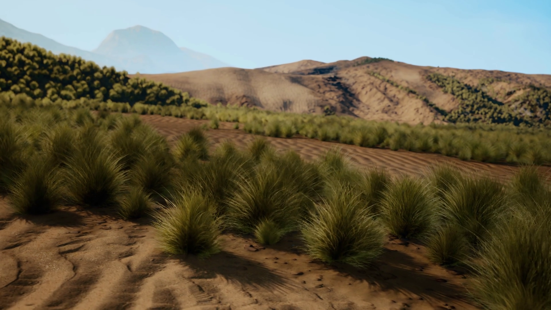 A Majestic Desert Landscape With Towering Stock Motion Graphics SBV ...