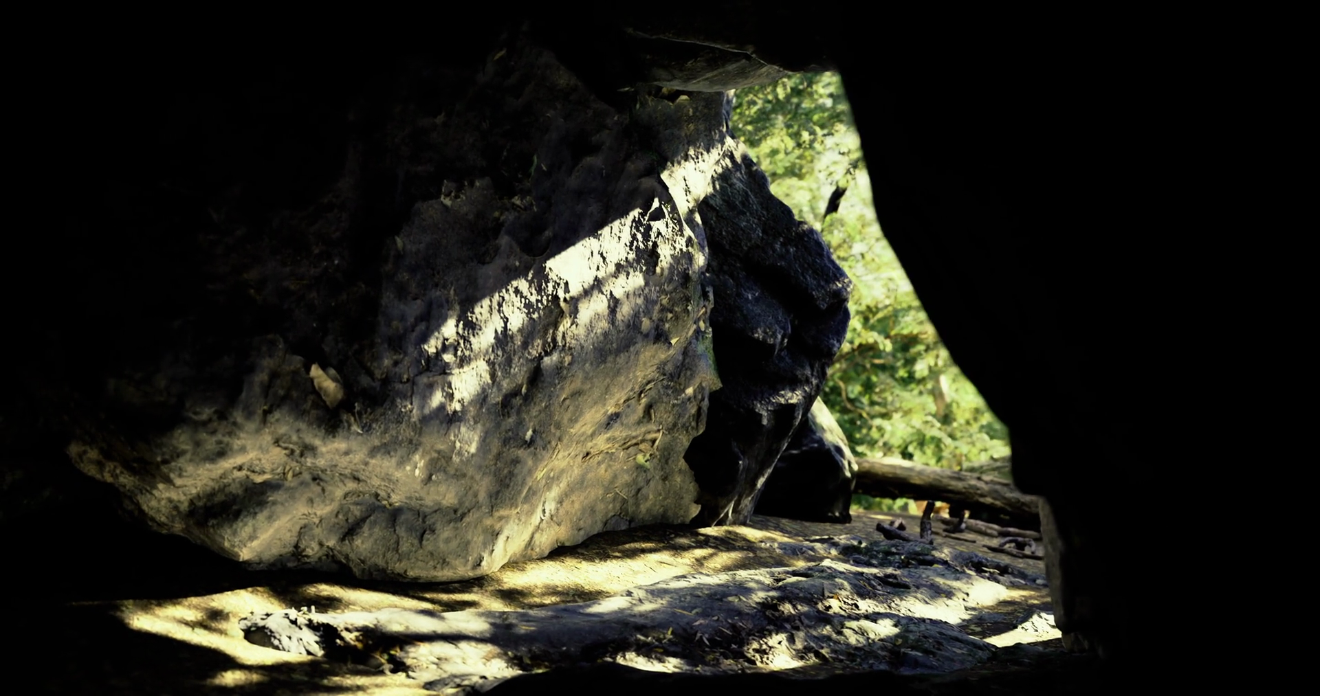 View From Cave Entrance Revealing Lush Stock Motion Graphics SBV ...