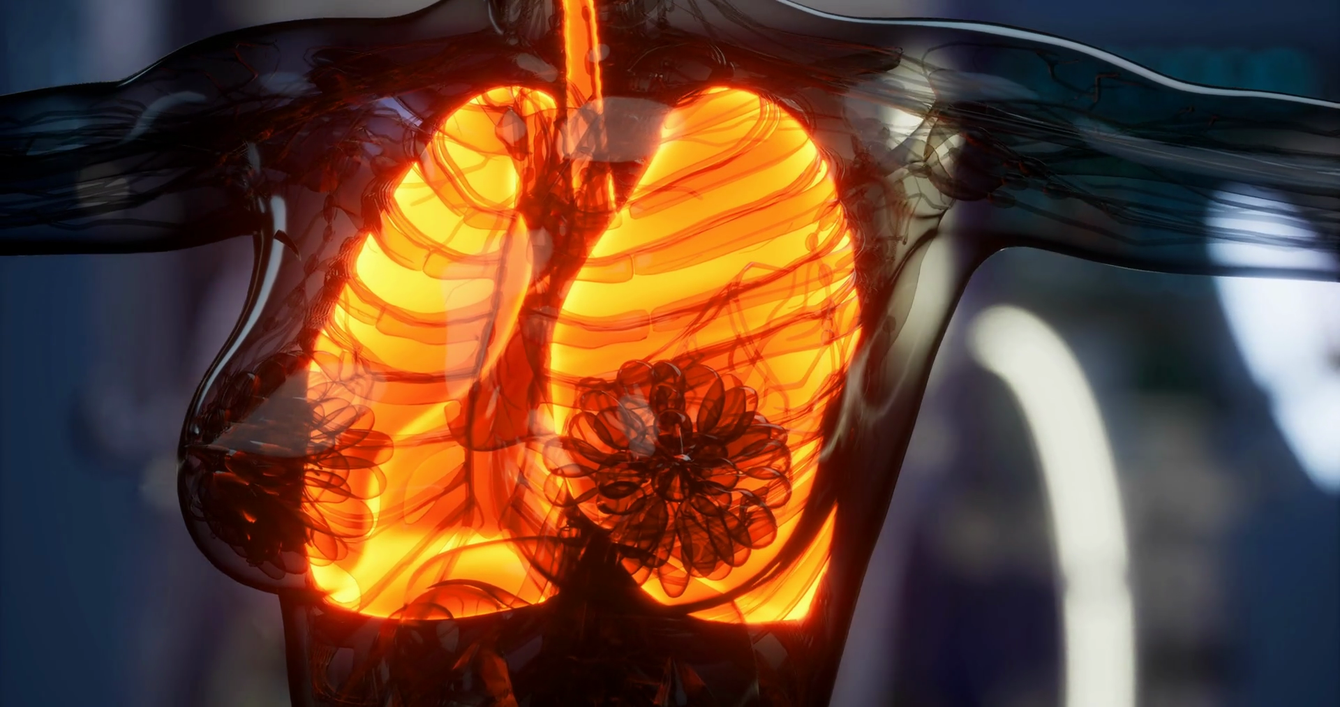 Detailed Anatomy Of Human Lungs With Vibrant Stock Motion Graphics SBV ...