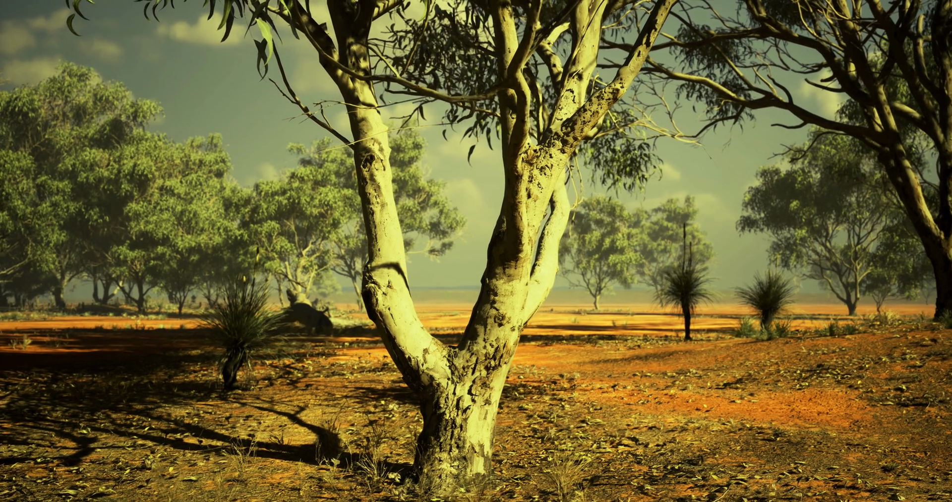 Expansive Outback Landscape Under Vivid Sky Stock Motion Graphics SBV ...
