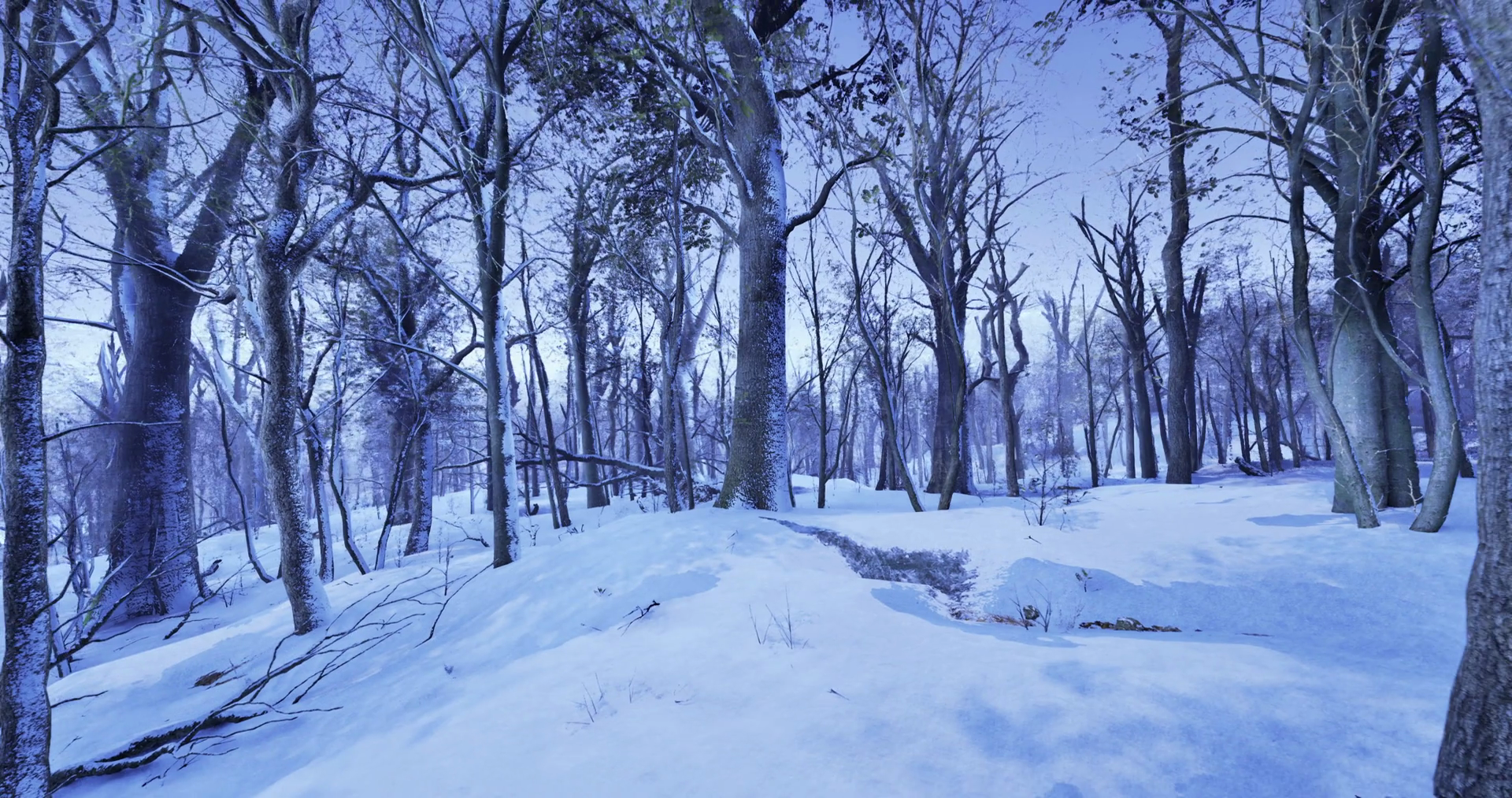 Snow Covered Winter Wonderland Enveloped In Stock Motion Graphics SBV ...
