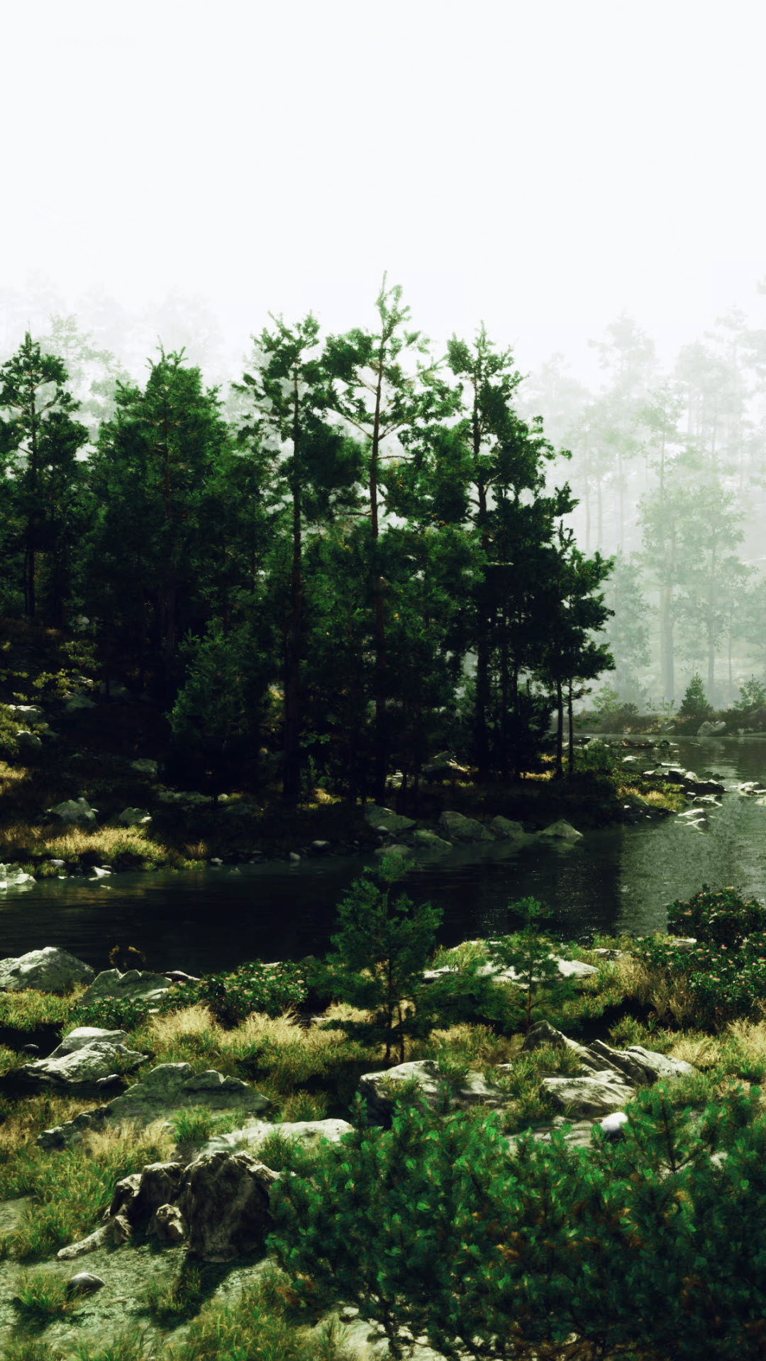 Misty Forest Landscape With Tranquil River Stock Footage SBV-353137020 ...