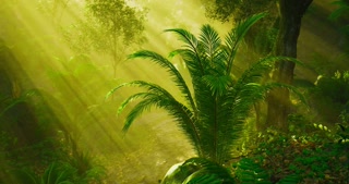 Sunlight filters through lush greenery in a vibrant forest setting