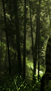 Tiger standing in forest during daylight with trees and grass