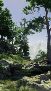 Forest scene with trees and mountains during daytime in summer