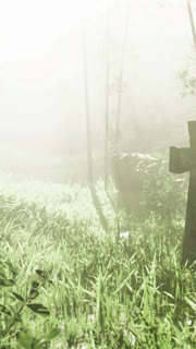Fog covers a field with a cross near trees during the morning