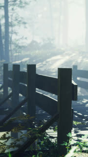 Morning light dances on a forest path leading to a wooden fence