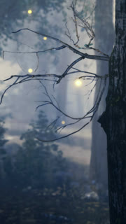 Mysterious forest scene with glowing lights at twilight in a tranquil setting