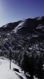 Snow covered trees on a mountain in bright sunlight at winter time